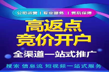 搜索引擎营销（SEM）竞价策略案例